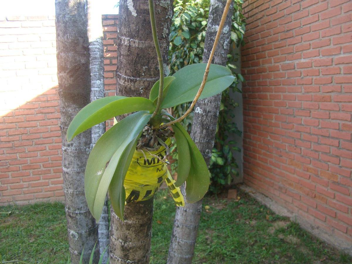 Sur Backpackers Hostel Santa Cruz de La Sierra Exterior foto