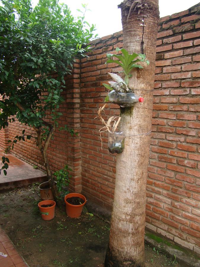 Sur Backpackers Hostel Santa Cruz de La Sierra Exterior foto